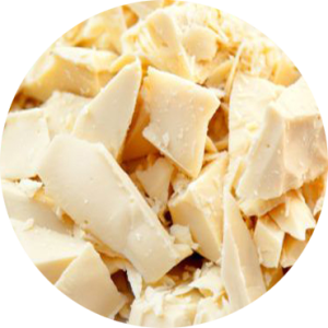 Inicio 11zon cropped (1)