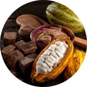 Inicio 11zon cropped