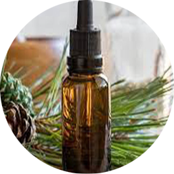 Inicio 11zon cropped (2)