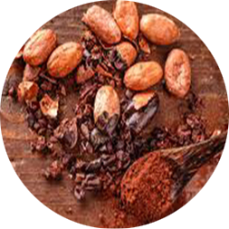 Inicio 11zon cropped (4)