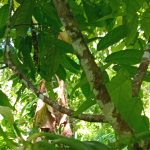 Inicio 20250501 094115logo