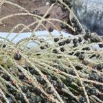 Inicio 20250628 155257 (1)