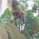 fb img 1749755951933