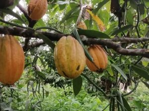 fb img 1749756225897 (1) (1)