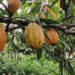 Inicio fb img 1749756225897