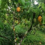 Inicio img 20220711 140358