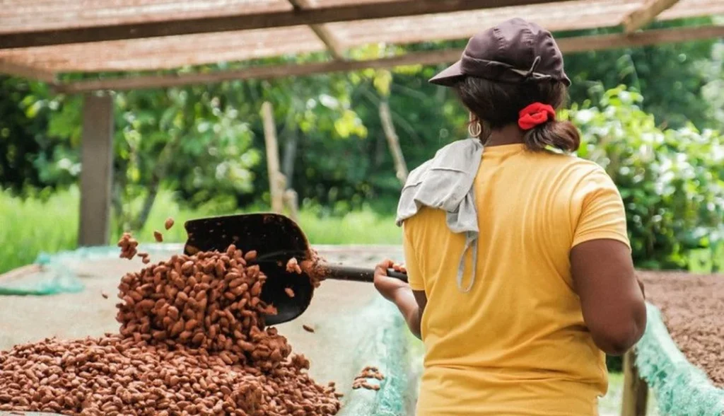 whatsapp image 2024 08 02 at 8.56.31 am 1