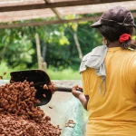 Inicio whatsapp image 2024 08 02 at 8.56.31 am 1