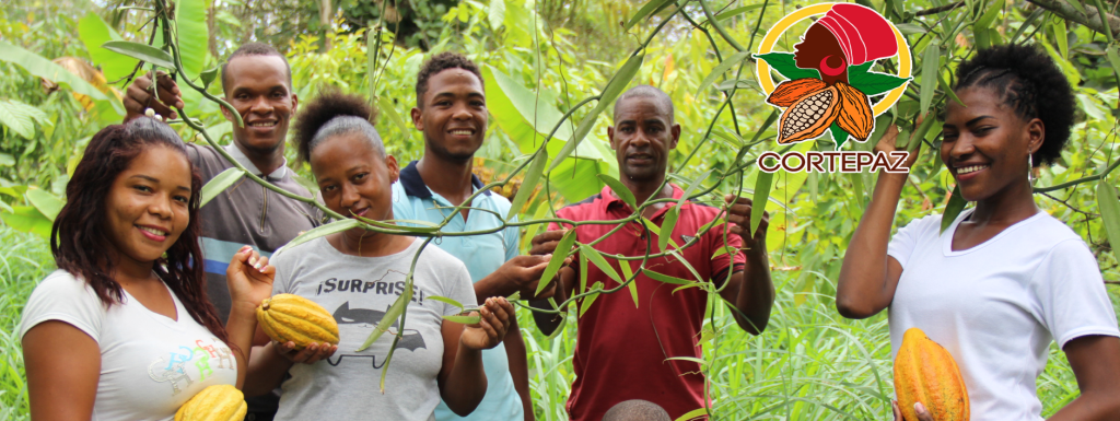 Inicio nueva (1) (1) (1) (1)