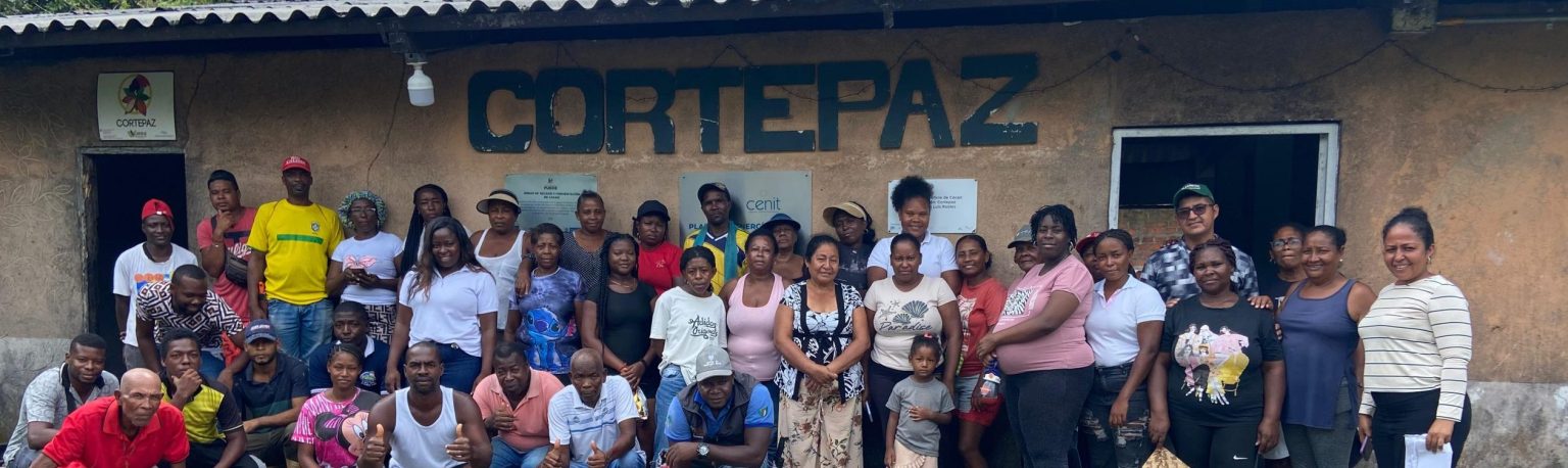 whatsapp image 2026 02 09 at 11.51.34 am (3)