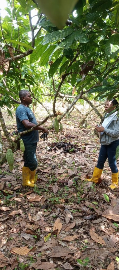 whatsapp image 2026 02 09 at 11.53.34 am (1)