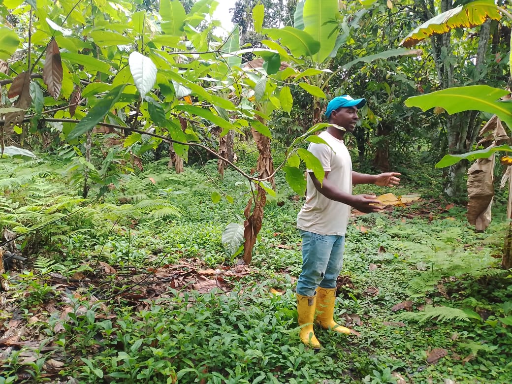 whatsapp image 2026 02 09 at 11.53.34 am (4)