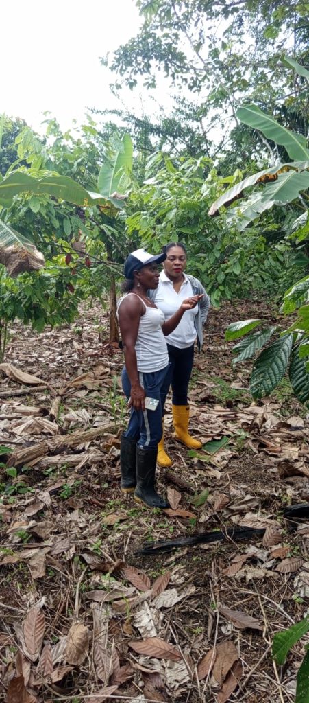 whatsapp image 2026 02 09 at 11.53.34 am