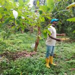 whatsapp image 2026 02 09 at 11.53.34 am (4)